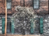 P1280633_5_7_tonemapped