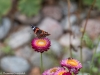 P1160444