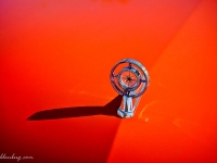 20111008-p1010747_8_9_fused