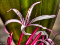 20111015-p1020029_30_31_tonemapped