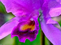 20111015-p1020139_40_41_fused