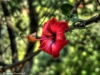 P1170461_3_5_Painterly
