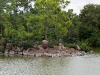 20101126-p1120925
