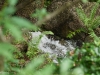 20101126-p1120972