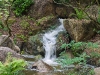 20101126-p1120983