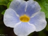 20101126-p1120998
