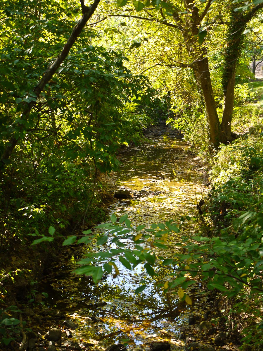 20100906-p1080044