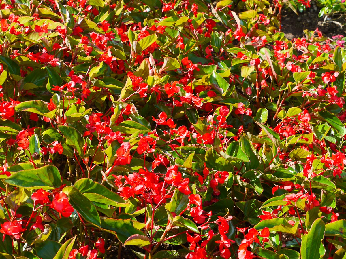 20100906-p1080054