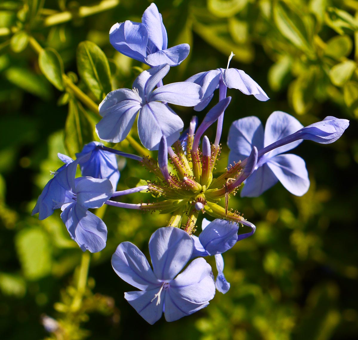20100906-p1080062
