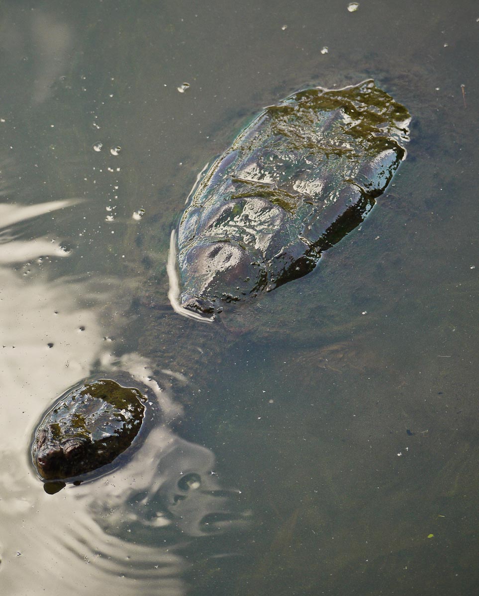 20100906-p1080200
