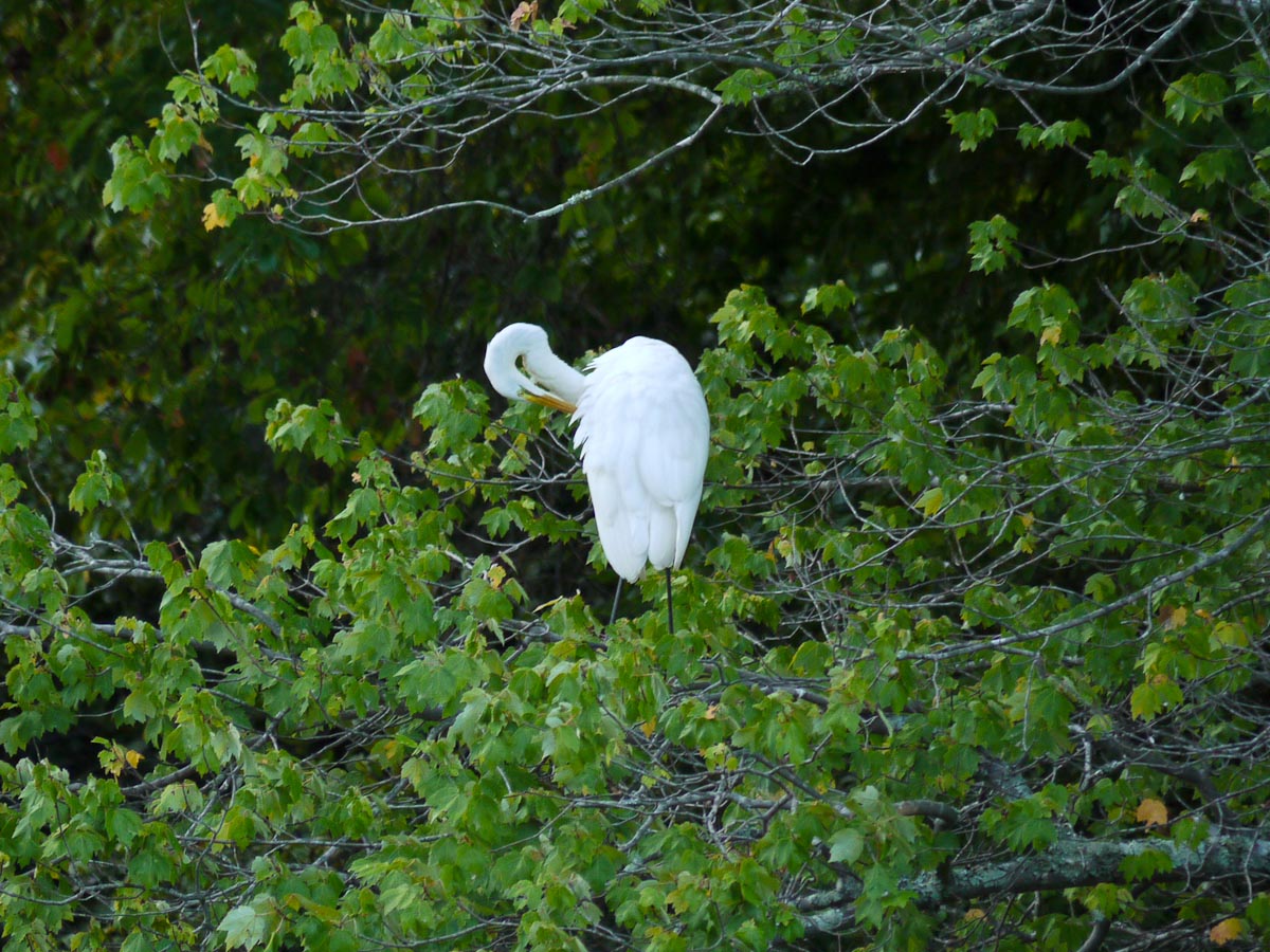 20100906-p1080214