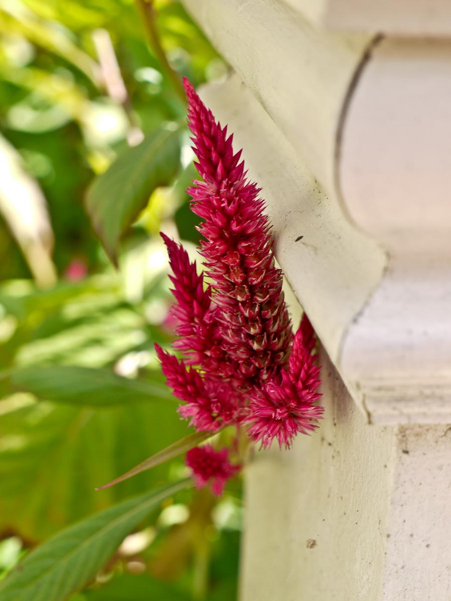 20101006-p1090129