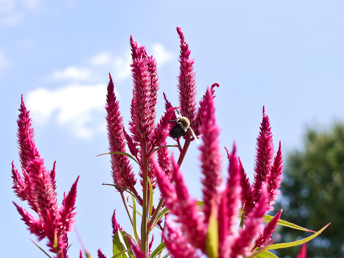 20101006-p1090138