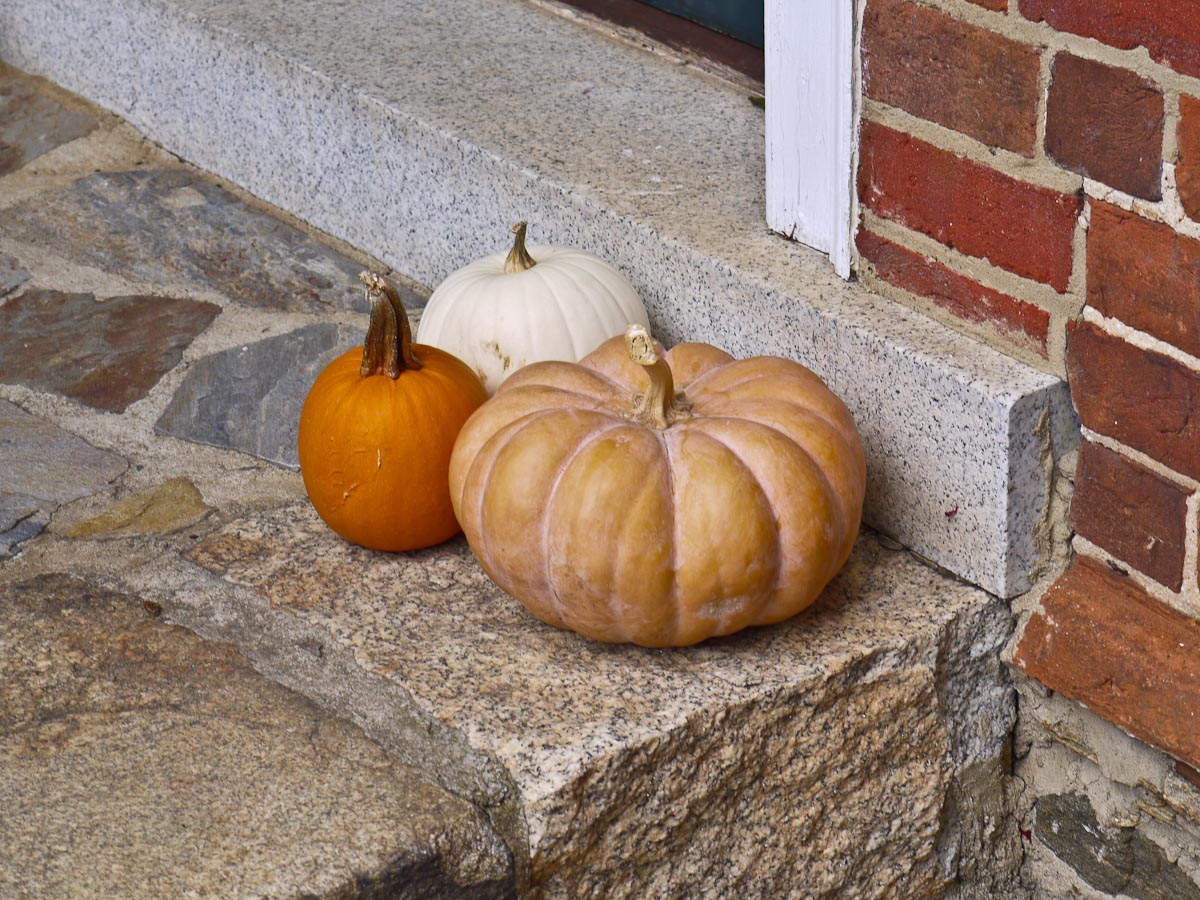 20101006-p1090151