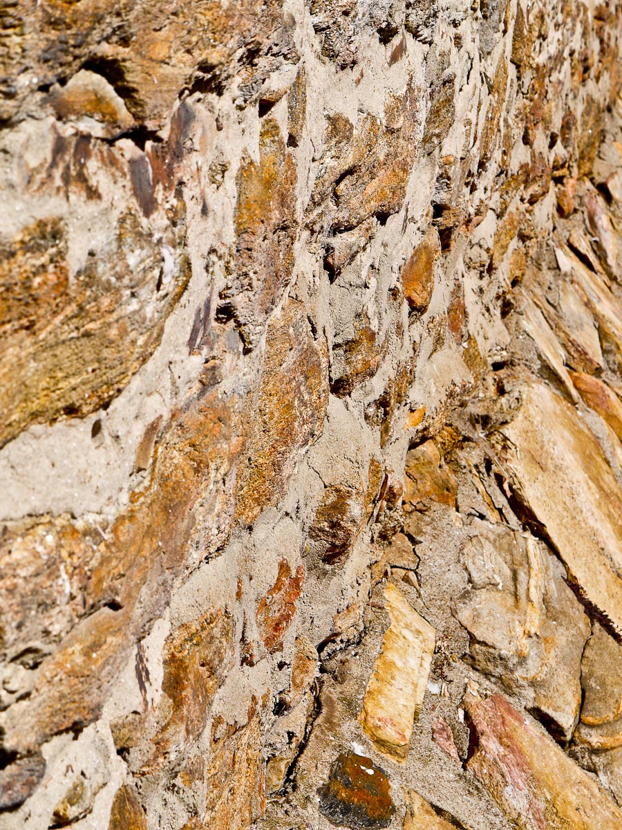 20101006-p1090330