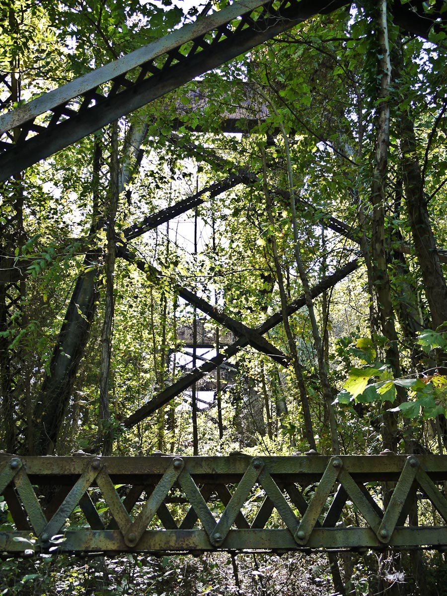 20101006-p1090393