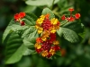 20100906-p1080040
