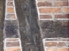 20101006-p1090170