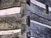 20101006-p1090176