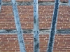20101006-p1090184