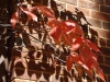 20101006-p1090307