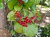 20101006-p1090333