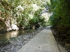 20101006-p1090410