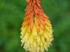 p1050116