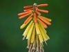 p1050151