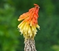 p1050158