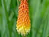 p1050169