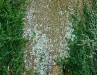 p1050181