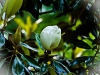 p1050216