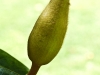 p1050236