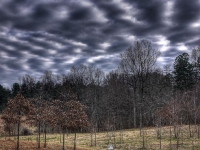 20101221-p1130578_79_80_tonemapped-2