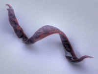 20101225-p1130787_89_91_tonemapped