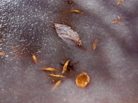 20110210-p1140467_69_71_tonemapped