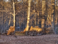 20110211-p1140635_7_9_tonemapped