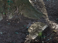 20110311-p1150486_88_90_tonemapped