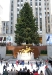 The big tree and ice rink at Rockefeller Center.