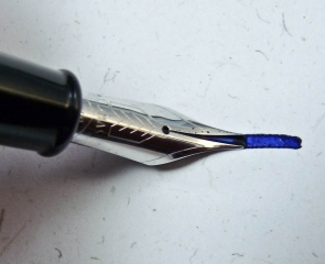 p1110370-21-january-28-2010-large-3